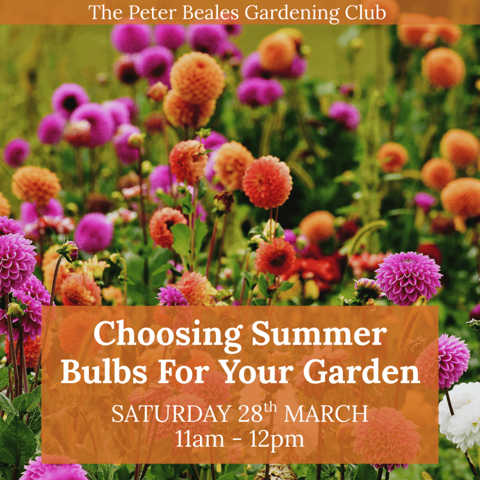 Events-page-imagery-97-972×972