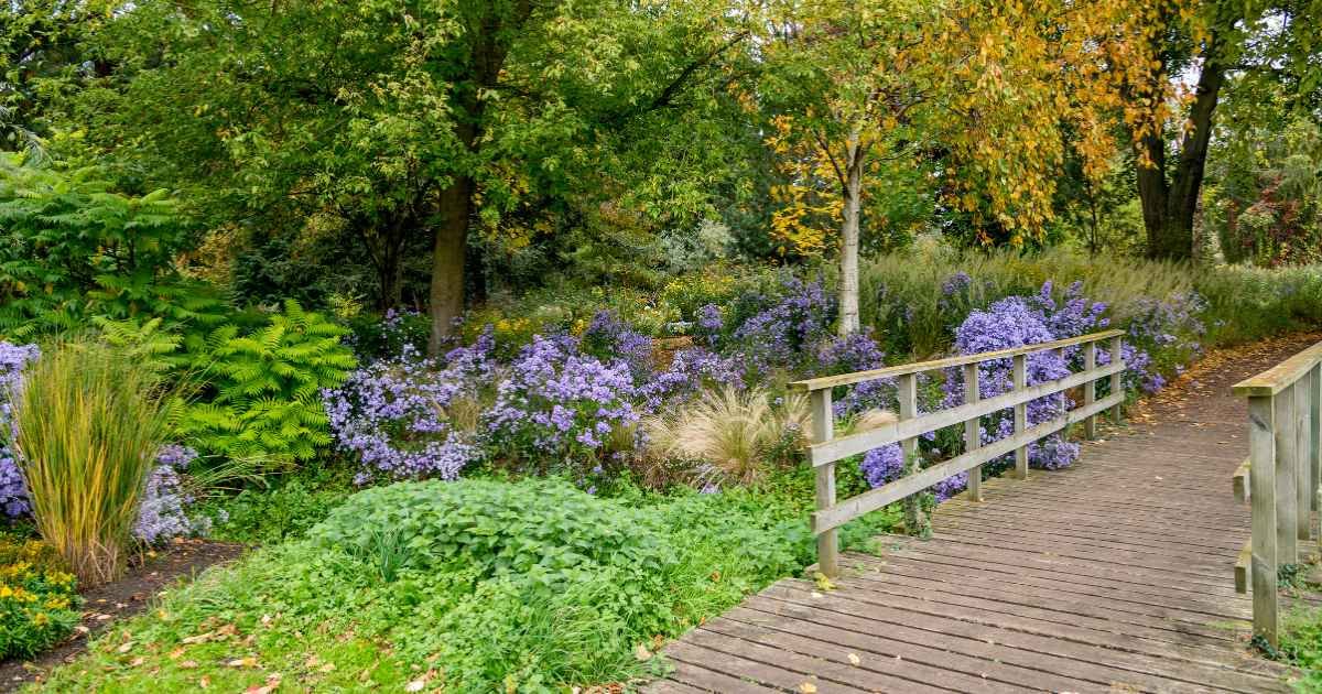 Diss gardens